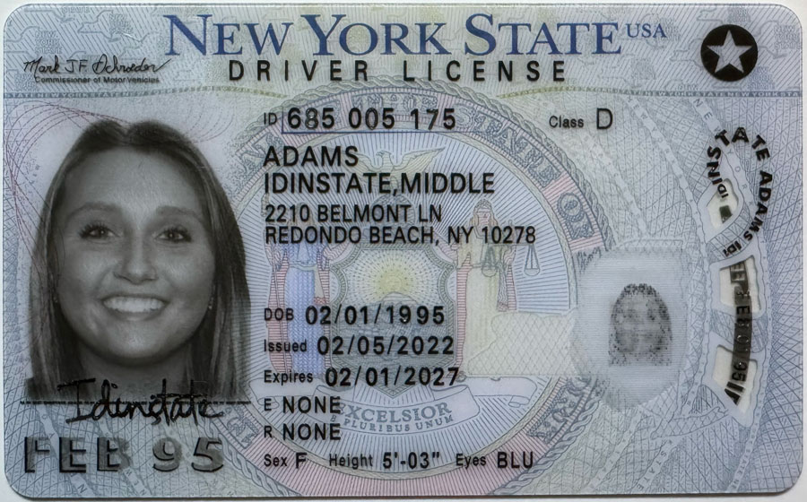 NY-1 (1)